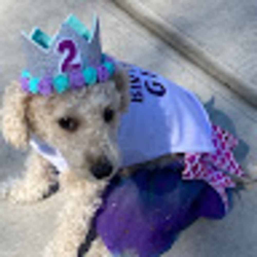 Meet your Posher, Jazmyn